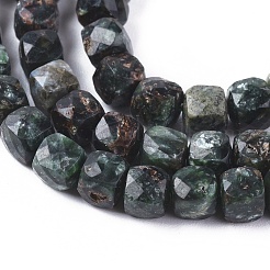 Natural Seraphinite Beads Strands&nbsp;G-L537-014