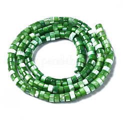 Natural Trochus Shell Beads Strands&nbsp;SHEL-S278-027C