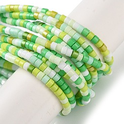 Handmade Lampwork Beads Strands&nbsp;LAMP-L078-008