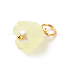 Transparent Acrylic Charms&nbsp;PALLOY-JF01604-01