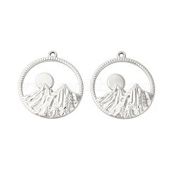 Non-Tarnish 304 Stainless Steel Pendants&nbsp;STAS-L268-010P