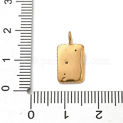 304 Stainless Steel Pendants&nbsp;X-STAS-H243-07D-G