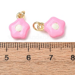 Brass Enamel Pendants&nbsp;KK-CJC21A4-01G-02-RS
