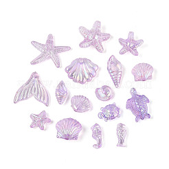 Ocean Theme Transparent Acrylic Beads&nbsp;TACR-T028-69-01C