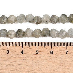Natural Labradorite Beads Strands&nbsp;G-P611-C26-01