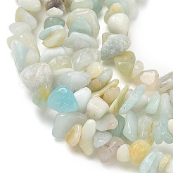 Natural Flower Amazonite Chips Beads Strands&nbsp;X-G-M205-12B