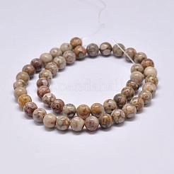 Natural Maifanite/Maifan Stone Beads Strands&nbsp;G-F353-8mm
