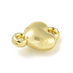 Alloy Connector Charms&nbsp;LS-PALLOY-F310-01G-01
