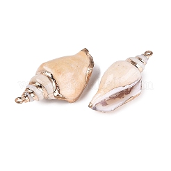 Electroplated Golden Brass Trim Natural Spiral Shell Pendants&nbsp;SSHEL-N042-36