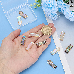 10Pcs 2 Styles Natural Paua Shell Pendants&nbsp;KK-WR0001-71