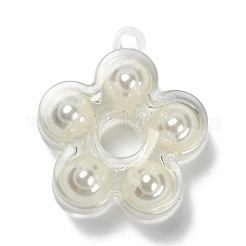 (Defective Closeout Sale: Yellowing) Transparent Acrylic Pendants&nbsp;TACR-XCP0001-05