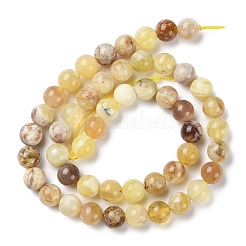 Natural Yellow Opal Beads Strands&nbsp;G-Q1001-A01-02