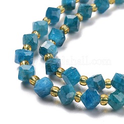 Natural Apatite Beads Strands&nbsp;G-P463-29