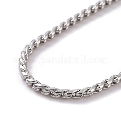 Tarnish Resistant 304 Stainless Steel Serpentine Chain Anklets&nbsp;AJEW-G024-04P