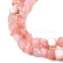 Natural Freshwater Shell Beads Strands&nbsp;SHEL-A006-07