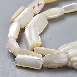 Natural Shell Beads Strands&nbsp;X-SSHEL-K026-01