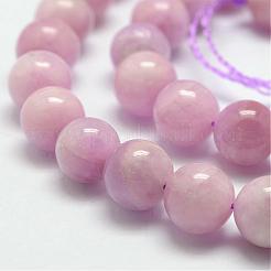 Natural Kunzite Beads Strands&nbsp;G-D856-03-10mm