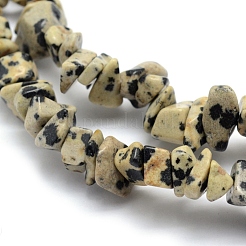 Natural Dalmatian Jasper Beads Strands&nbsp;G-P332-20
