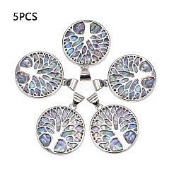 Resin Imitation Paua Shell/Abalone Shell Pendants&nbsp;RESI-S376-24