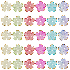 180Pcs 6 Colors Acrylic Bead Caps&nbsp;OACR-PA0001-15