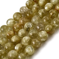 Natural Lepidolite Beads Strands&nbsp;G-F799-B02-12mm
