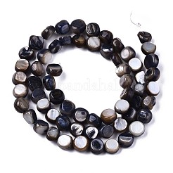 Natural Freshwater Shell Beads Strands&nbsp;SHEL-S276-110A-01