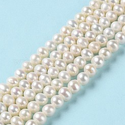 Natural Cultured Freshwater Pearl Beads Strands&nbsp;PEAR-E018-99