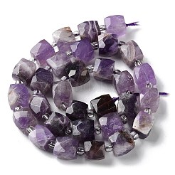 Natural Amethyst Beads Strands&nbsp;G-B065-A02
