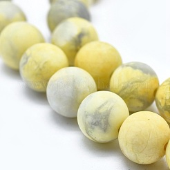 Natural Howlite Bead Strands&nbsp;G-I224-04B-8mm