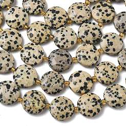 Natural Dalmatian Jasper Beads Strands&nbsp;G-A292-A06-01