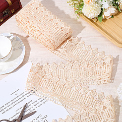 Polyester Embroidery Lace Ribbon&nbsp;OCOR-CY0001-73B