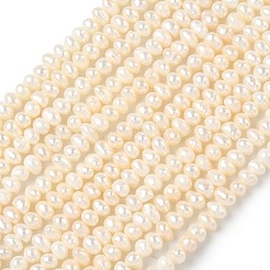 Natural Cultured Freshwater Pearl Beads Strands&nbsp;PEAR-C004-02B