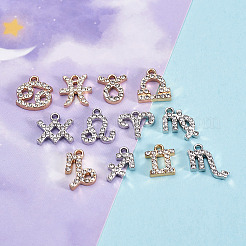2 Sets 2 Colors Zinc Alloy Pendants&nbsp;ALRI-FW0001-02