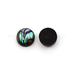 Paua Shell Cabochons&nbsp;SHEL-WH0001-002A