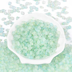 Frosted Glass Seed Beads&nbsp;SEED-N008-05F