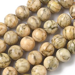 Natural Feldspar Beads Strands&nbsp;G-F818-A06-16mm-02