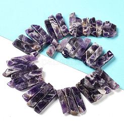 Natural Amethyst Beads Strands&nbsp;G-L551B-08A
