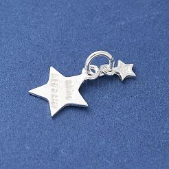 S925 Sterling Silver Pendant&nbsp;STER-H115-03A-S