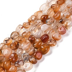 Natural Red Agate Beads Strands&nbsp;G-G146-A25-01