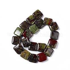 Natural Dragon Blood Beads Strands&nbsp;G-L253-10