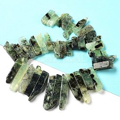 Natural Prehnite Beads Strands&nbsp;G-L551B-12