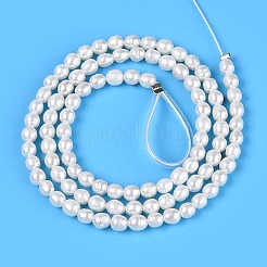 Natural Cultured Freshwater Pearl Beads Strands&nbsp;PEAR-T006-22