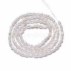 Natural Cultured Freshwater Pearl Beads Strands&nbsp;PEAR-N012-02H