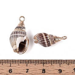 Electroplate Spiral Shell Pendants&nbsp;SSHEL-S261-10