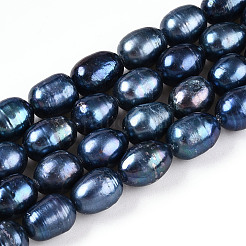 Natural Cultured Freshwater Pearl Beads Strands&nbsp;PEAR-N012-08L-01
