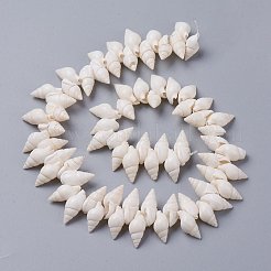 Natural Spiral Shell Beads Strands&nbsp;X-BSHE-I016-07