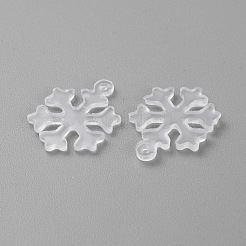 Transparent Resin Pendants&nbsp;FIND-WH20018-03F