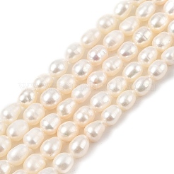 Natural Cultured Freshwater Pearl Beads Strands&nbsp;PEAR-I007-01B-04B