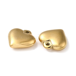 304 Stainless Steel Charms&nbsp;STAS-Q252-22G
