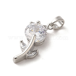 Brass Micro Pave Cubic Zirconia Pendants&nbsp;ZIRC-P114-04P